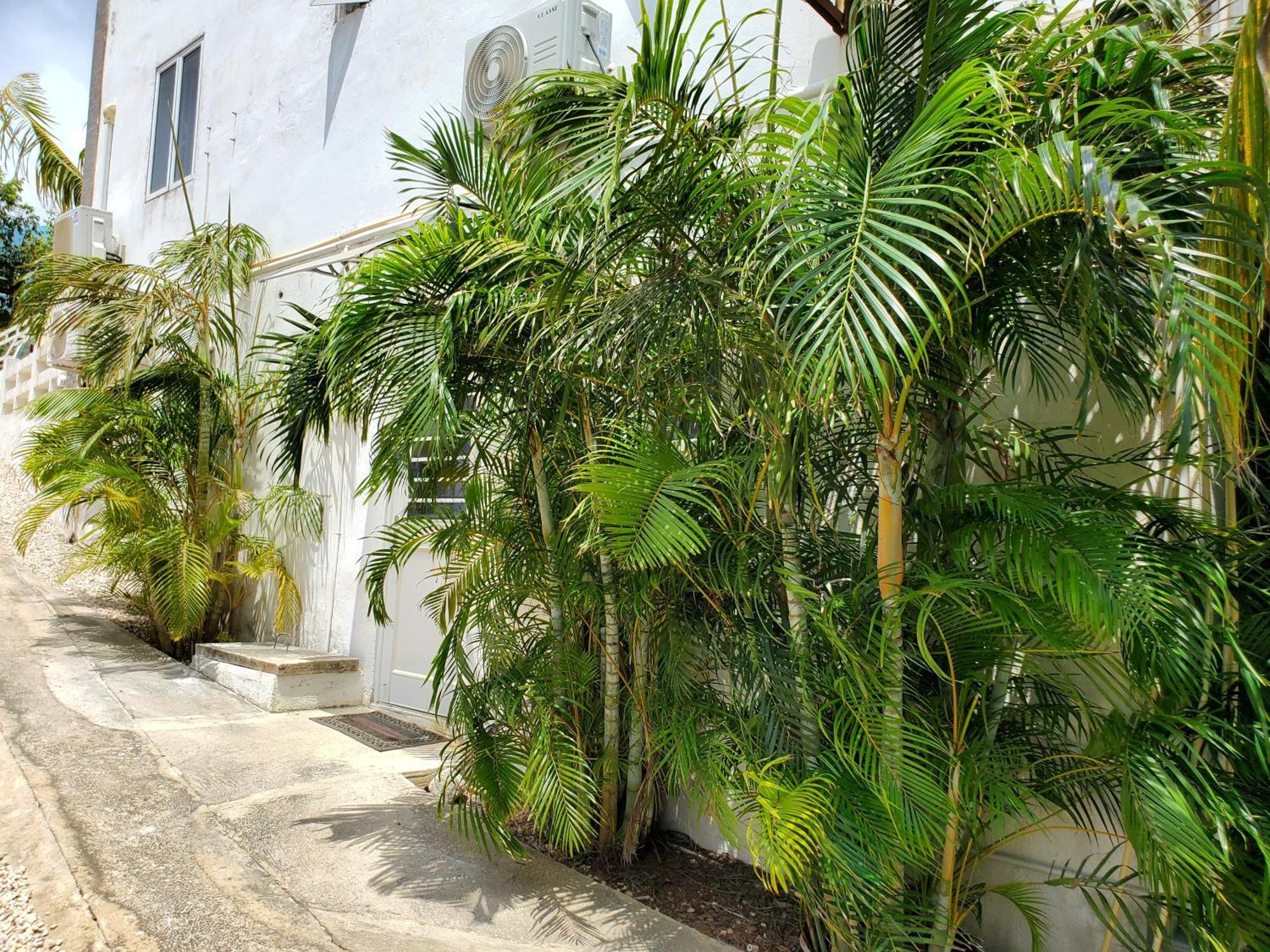 Grand Sun Valley Residences Willemstad Exterior foto